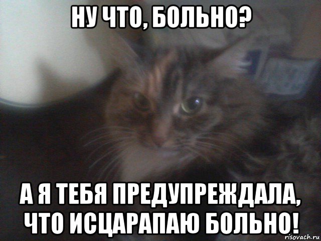 ну что, больно? а я тебя предупреждала, что исцарапаю больно!