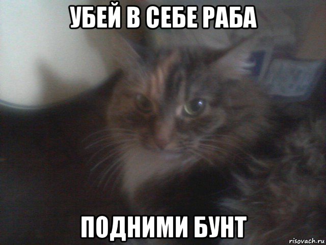убей в себе раба подними бунт