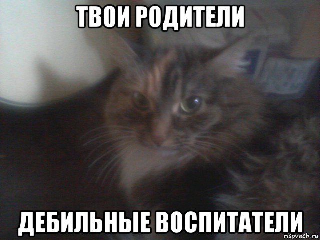 твои родители дебильные воспитатели