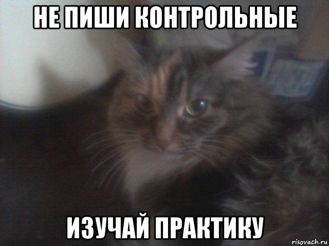 не пиши контрольные изучай практику