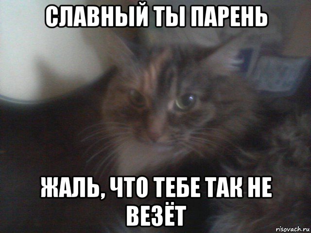 славный ты парень жаль, что тебе так не везёт