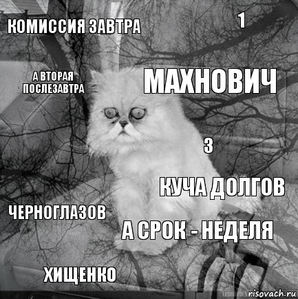 комиссия завтра куча долгов Махнович Хищенко  1 а срок - неделя а вторая послезавтра Черноглазов 3, Комикс  кот безысходность