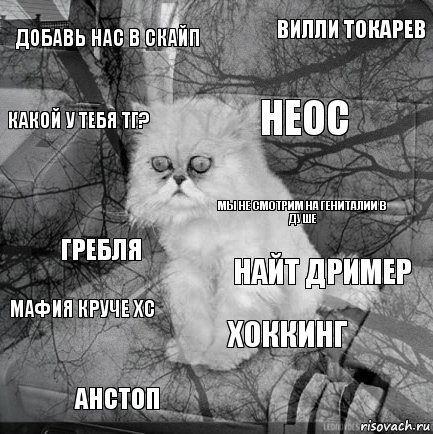 добавь нас в скайп Найт Дример Неос Анстоп гребля Вилли Токарев Хоккинг какой у тебя тг? мафия круче хс мы не смотрим на гениталии в душе, Комикс  кот безысходность