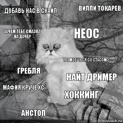 добавь нас в скайп Найт Дример Неос Анстоп гребля Вилли Токарев Хоккинг зачем тебе смазка на даче? мафия круче хс ты моешься со стасом?, Комикс  кот безысходность