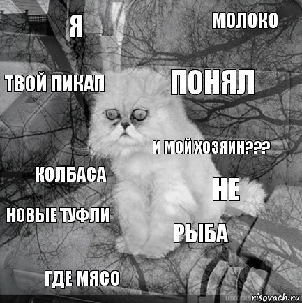 Я не понял где мясо колбаса молоко рыба твой пикап новые туфли и мой хозяин???, Комикс  кот безысходность