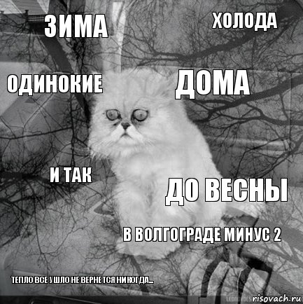 Зима до весны дома тепло все ушло не вернется никогда... и так холода в волгограде минус 2 одинокие  , Комикс  кот безысходность