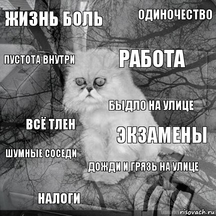 жизнь боль экзамены работа налоги всё тлен одиночество дожди и грязь на улице пустота внутри шумные соседи быдло на улице, Комикс  кот безысходность