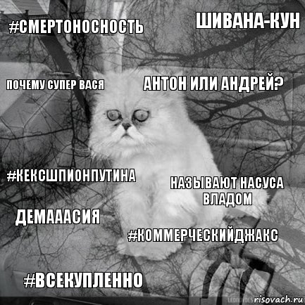 #СМЕРТОНОСНОСТЬ Называют Насуса Владом Антон или Андрей? #всекупленно #кексшпионпутина Шивана-кун #коммерческийджакс Почему супер Вася ДЕМАААСИЯ , Комикс  кот безысходность