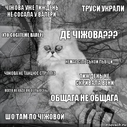 Чіжова уже тиждень не сосала у Валери Тиждень не скривала вени де Чіжова??? Шо там по чіжовой Чіжова не танцює стріптіз ТРУСИ УКРАЛИ Общага не общага Хто сосатеме ВАЛЕРІ Ніхто не ходе як сельхоз Немає сільськой львіци, Комикс  кот безысходность