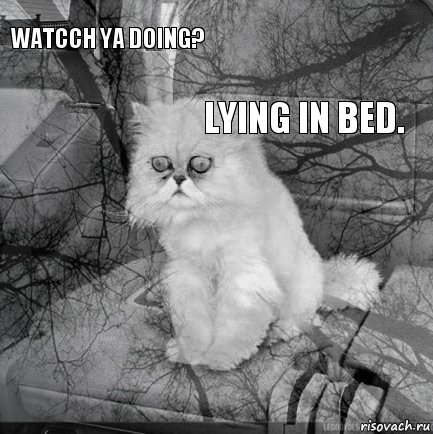 Watcch ya doing?  Lying in bed.       , Комикс  кот безысходность