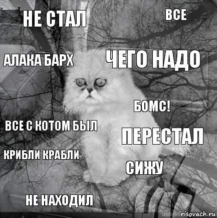 Не стал Перестал Чего надо Не находил Все с котом был Все Сижу Алака барх Крибли крабли Бомс!, Комикс  кот безысходность