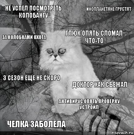 Не успел посмотреть колобангу доктор хак сбежал глюк опять сломал что-то челка заболела 3 сезон еще не скоро инопланетяне грустят антивирус опять проверку устроил за колобками охота  , Комикс  кот безысходность