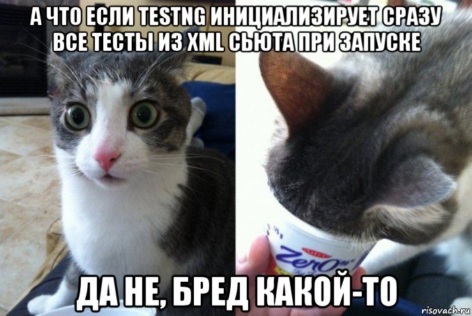 а что если testng инициализирует сразу все тесты из xml сьюта при запуске да не, бред какой-то, Мем Кот да не бред какой то