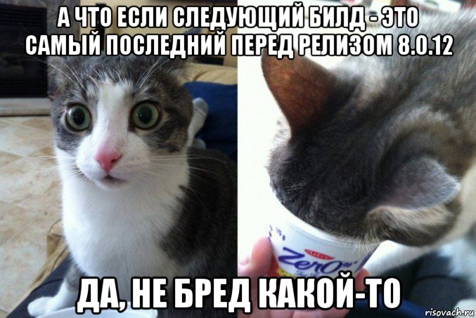 а что если следующий билд - это самый последний перед релизом 8.0.12 да, не бред какой-то, Мем Кот да не бред какой то
