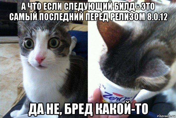 а что если следующий билд - это самый последний перед релизом 8.0.12 да не, бред какой-то, Мем Кот да не бред какой то