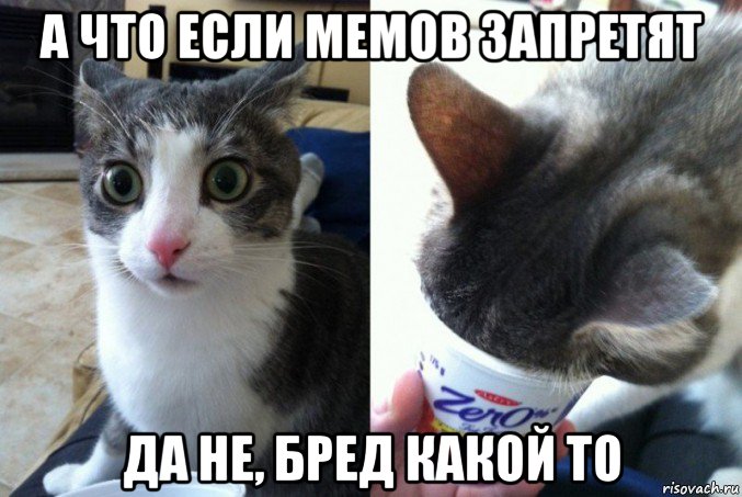 а что если мемов запретят да не, бред какой то