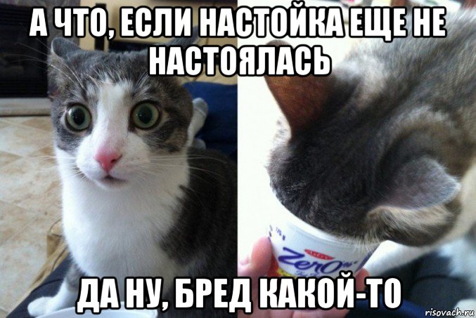 а что, если настойка еще не настоялась да ну, бред какой-то
