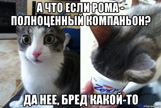 а что если рома - полноценный компаньон? да нее, бред какой-то