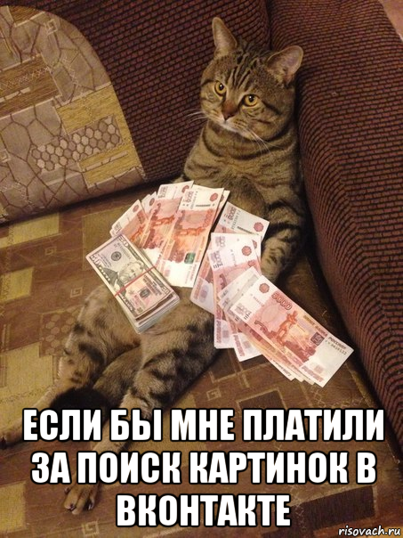  если бы мне платили за поиск картинок в вконтакте