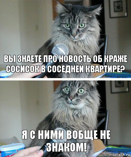 Вы знаете про новость об краже сосисок в соседней квартире? Я с ними вобще не знаком!, Комикс  кот с микрофоном