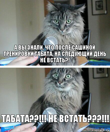 А вы знали, что после Сашиной тренировки TAБATA, на следующий день не встать?! ТАБАТА??!!! Не встать???!!!, Комикс  кот с микрофоном