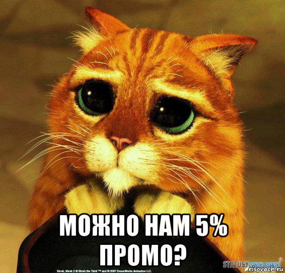  можно нам 5% промо?, Мем Котик из Шрека