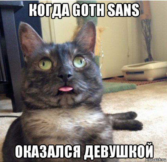 когда goth sans оказался девушкой, Мем   Кот завис