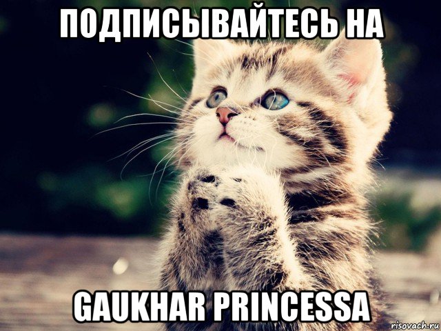 подписывайтесь на gaukhar princessa