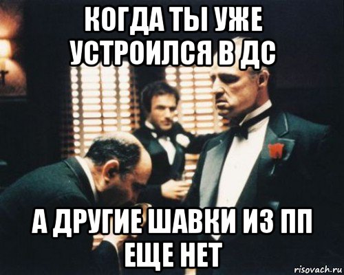когда ты уже устроился в дс а другие шавки из пп еще нет