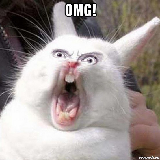 omg! 