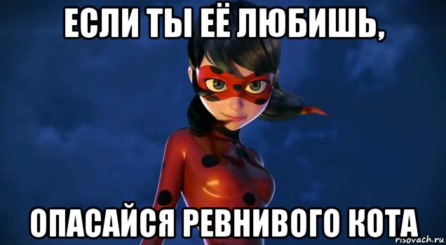 если ты её любишь, опасайся ревнивого кота