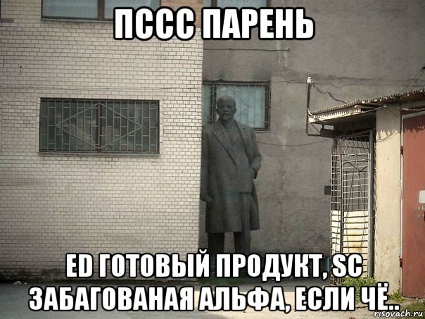 пссс парень ed готовый продукт, sc забагованая альфа, если чё.., Мем  Ленин за углом (пс, парень)