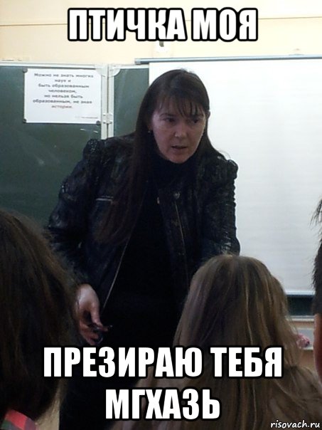 птичка моя презираю тебя мгхазь