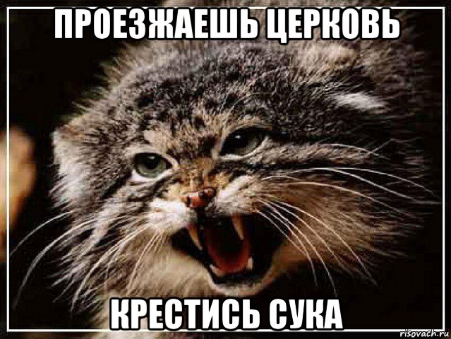 проезжаешь церковь крестись сука