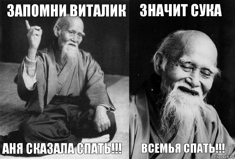 Запомни Виталик Аня сказала Спать!!! Значит Сука Всемья Спать!!!, Комикс Мудрец-монах (4 зоны)