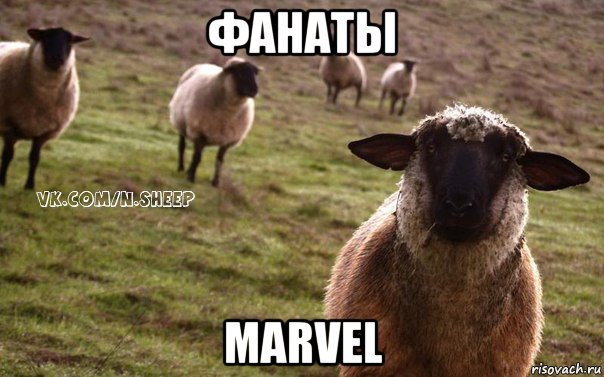 фанаты marvel