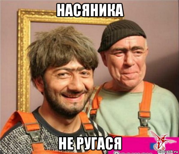 насяника не ругася, Мем Насяника не ругася