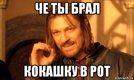 че ты брал кокашку в рот, Мем Нельзя просто так взять и (Боромир мем)