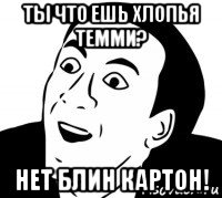 ты что ешь хлопья темми? нет блин картон!, Мем нет блин