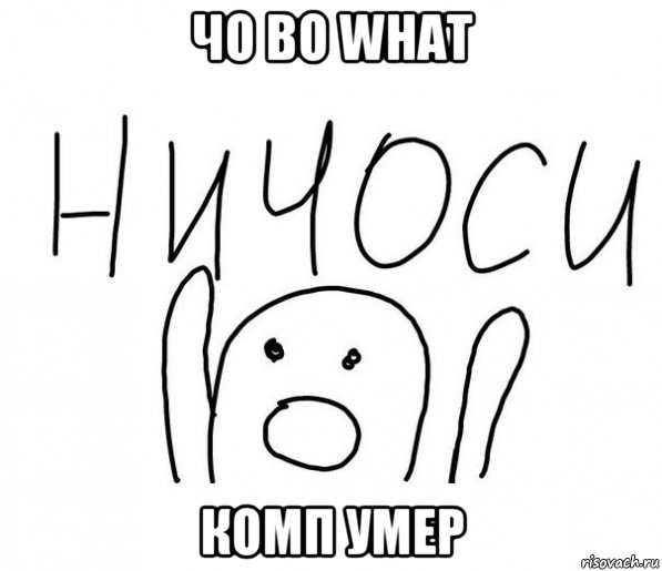 чо во what комп умер, Мем  Ничоси