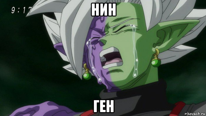 нин ген