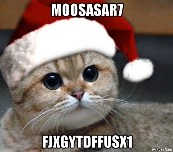 moosasar7 fjxgytdffusx1