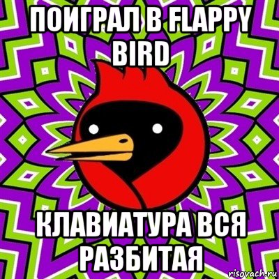 поиграл в flappy bird клавиатура вся разбитая, Мем Омская птица