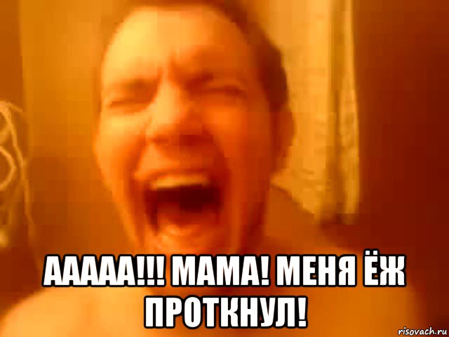  ааааа!!! мама! меня ёж проткнул!, Мем Ору