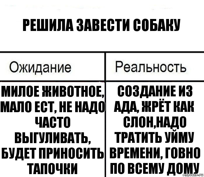 Решила завести собаку Милое животное, мало ест, не надо часто выгуливать, будет приносить тапочки Создание из ада, жрёт как слон,надо тратить уйму времени, говно по всему дому, Комикс  Ожидание - реальность