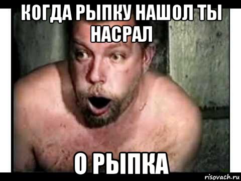 когда рыпку нашол ты насрал о рыпка