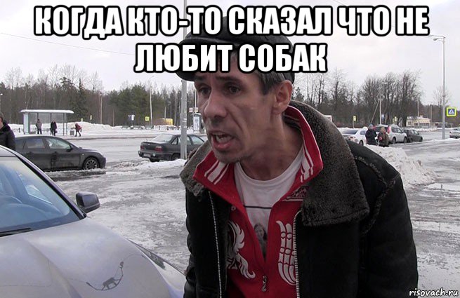 когда кто-то сказал что не любит собак 