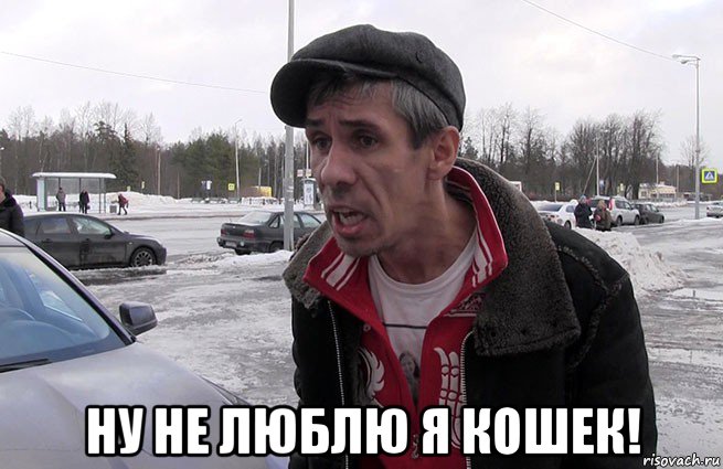  ну не люблю я кошек!