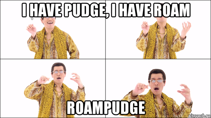 i have pudge, i have roam roampudge