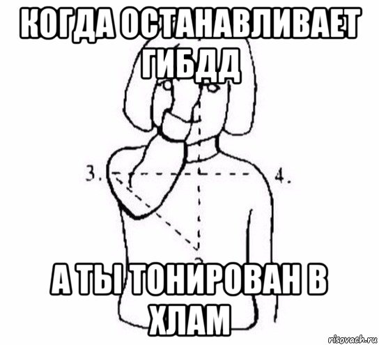 когда останавливает гибдд а ты тонирован в хлам, Мем  Перекреститься